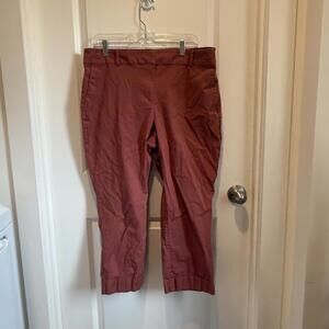 Ann Taylor Factory Women's Chino Pants Size 14